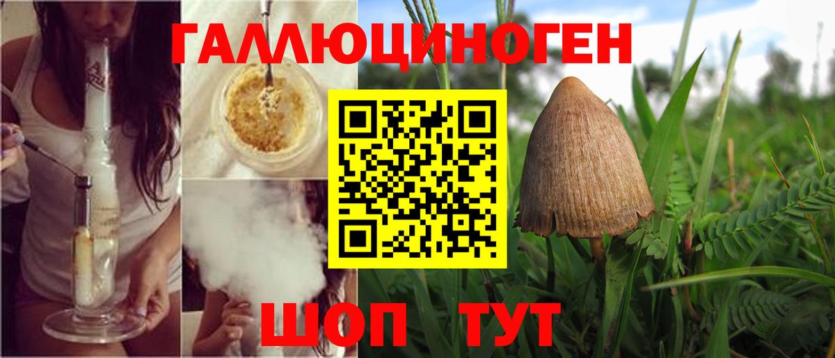 Псилоцибиновые грибы мицелий  Галлюциногенные грибы мухоморы  Нефтекумск  Вход с VPN 